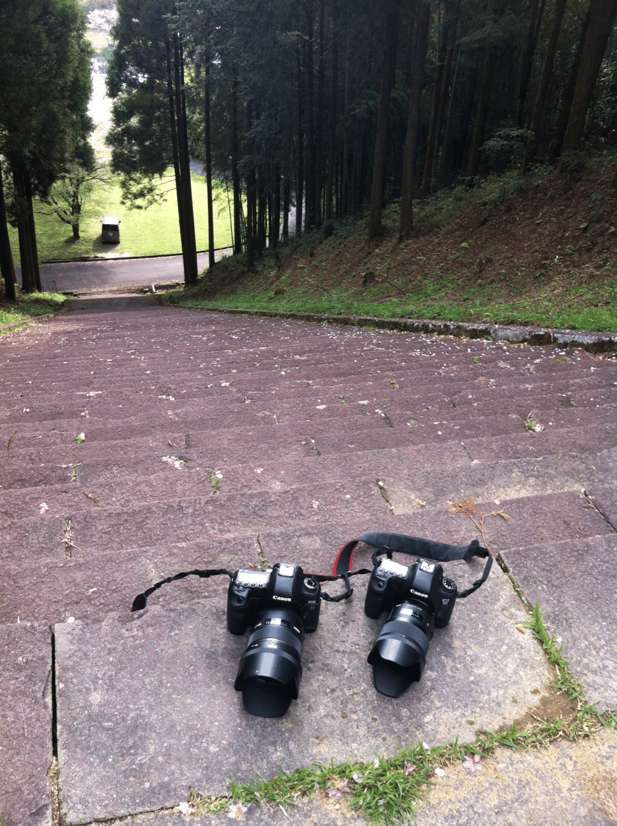 デジカメ2台 KEIYO、ツートンカラーのコンパクトデジカメ「NT-DC001」8,980円