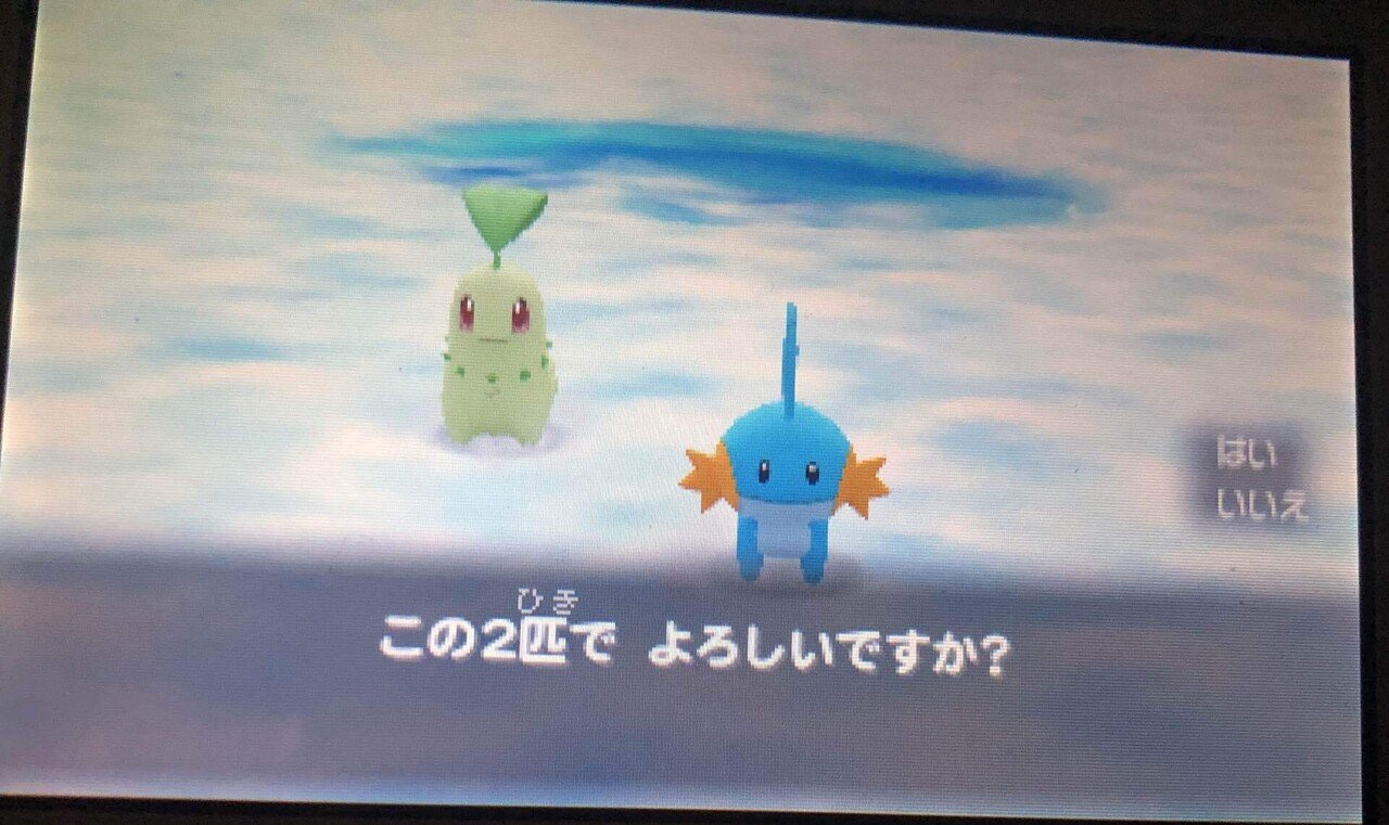 ポケモン超不思議のダンジョンをクリアしました｜つちのこきづち