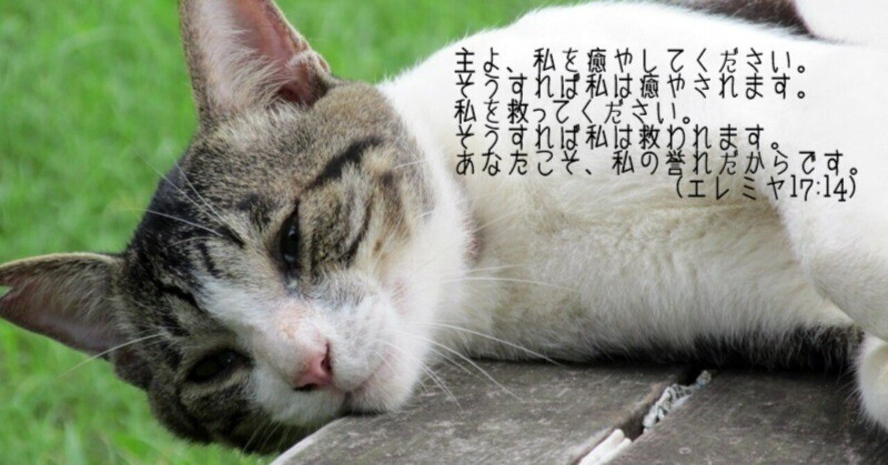 痛みを伴う叫び (エレミヤ17:5-18,ローマ1:9-10)｜たかぱん