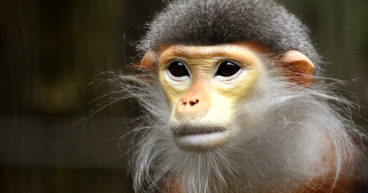 本20冊9000円:自己啓発等 本20冊9000円:自己啓発等 自己啓発本 30代シリーズ 4冊