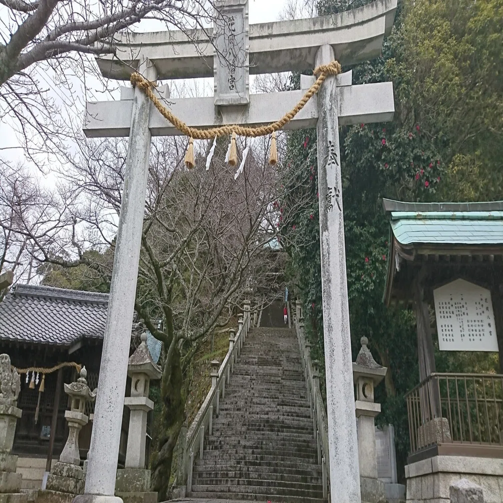 花岡八幡宮の狛犬たち｜雪村つばめ