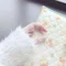 ○○ちゃん