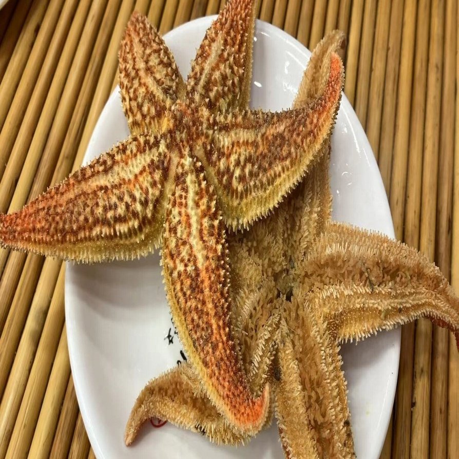 海鮮の街 青島で「ヒトデ」を食べてみた⭐️【中国滞在記】｜小羊