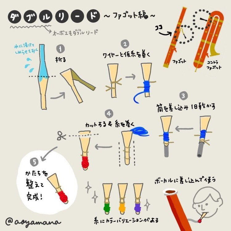 ファゴットやオーボエに使われるダブルリードについてです。5番がより細かい調整になるため、時間のかかる作業なんだそうです。じぶんで作るひともいるようだけど、何日もかかる作業だし、いい音のでるものを探さないといけないし、なかなかたいへんそう。