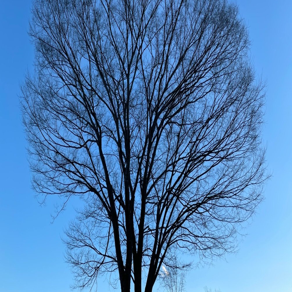 八ヶ岳で楽しむ モツ鍋パート２ とーちゃん かーちゃん交換日記 Note