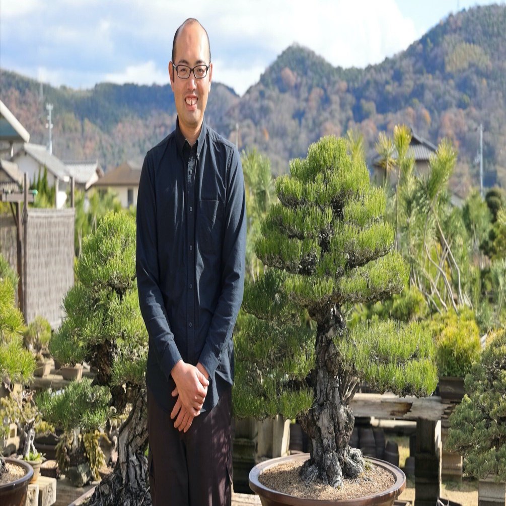 ユニークな盆栽 約26cm 高さ 楽天市場】盆栽 枝振りの良い松と花のペア盆栽日本文化 緑の美学 造形