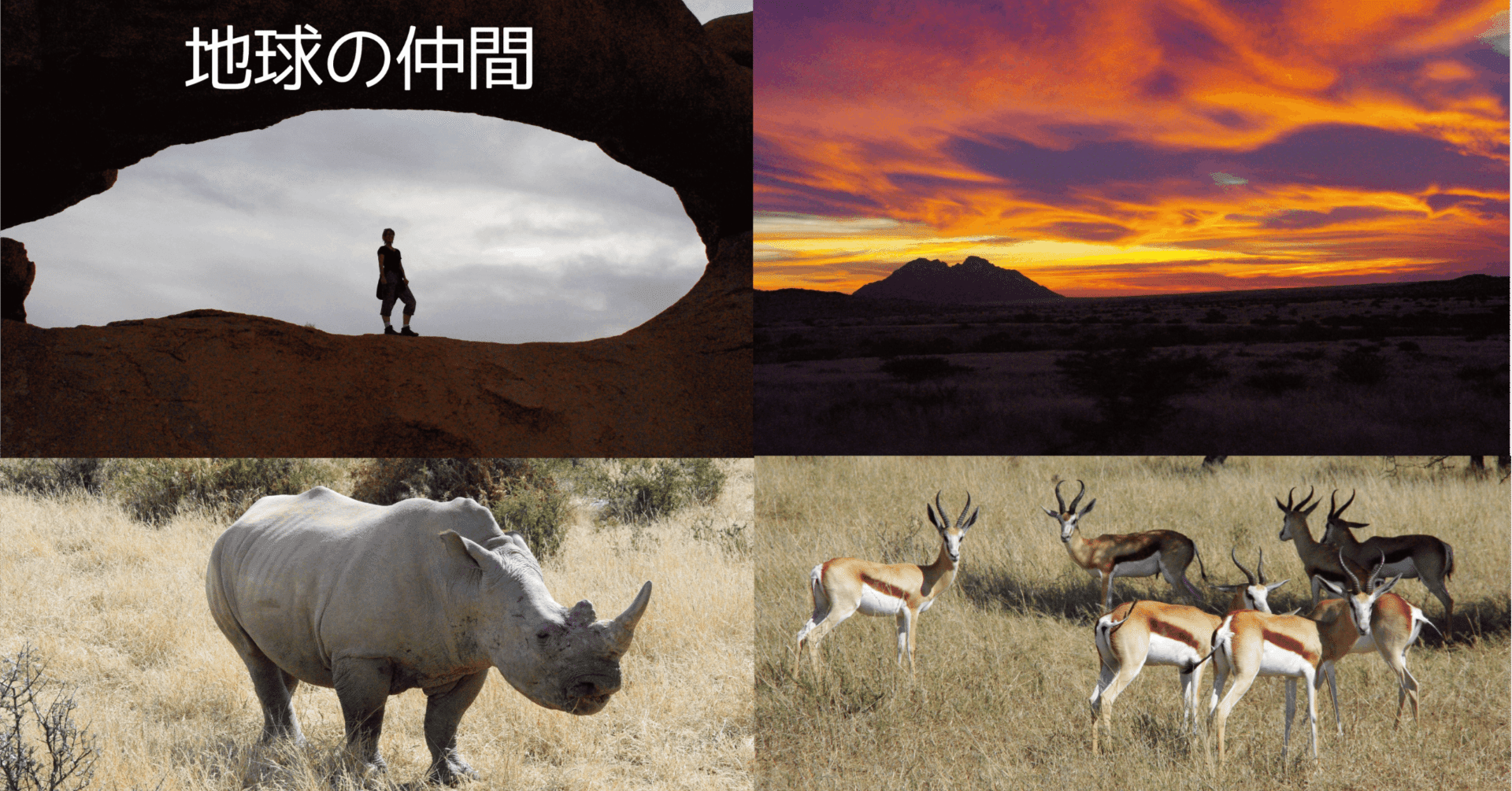 3 11 大気汚染と地球環境 ワッキー教授 Note