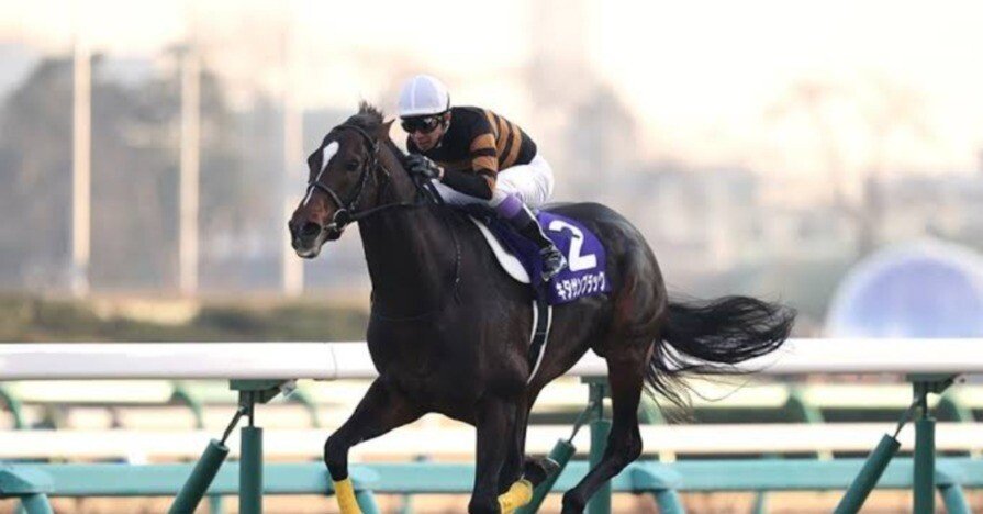 キタサンブラック産駒の血統傾向について｜爆裂不動尊＠競馬予想家