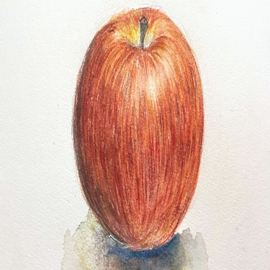 動画を参考に水彩色鉛筆で