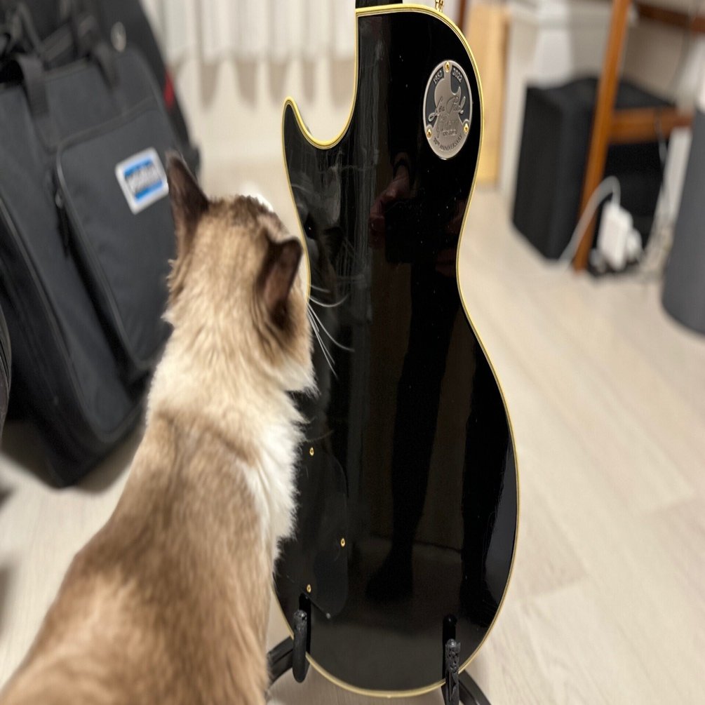 ぼっち・ざ・ろっく！にハマって買ったギターをもうちょっと詳しくみて