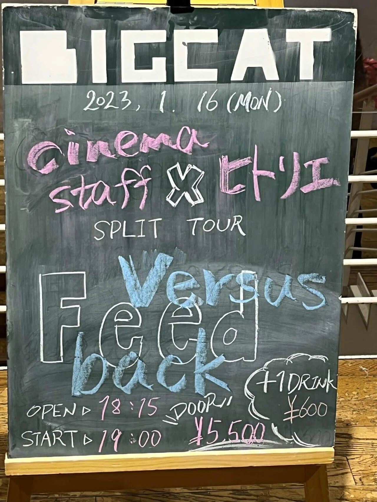 ヒトリエ cinema staff versus feedback ロンT XL 230116 cinema staff×ヒトリエ SPLIT TOUR Versus Feedback @心斎橋