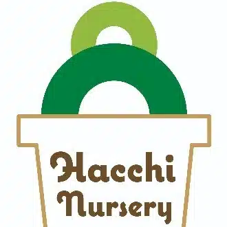 ハッチ ナーセリー