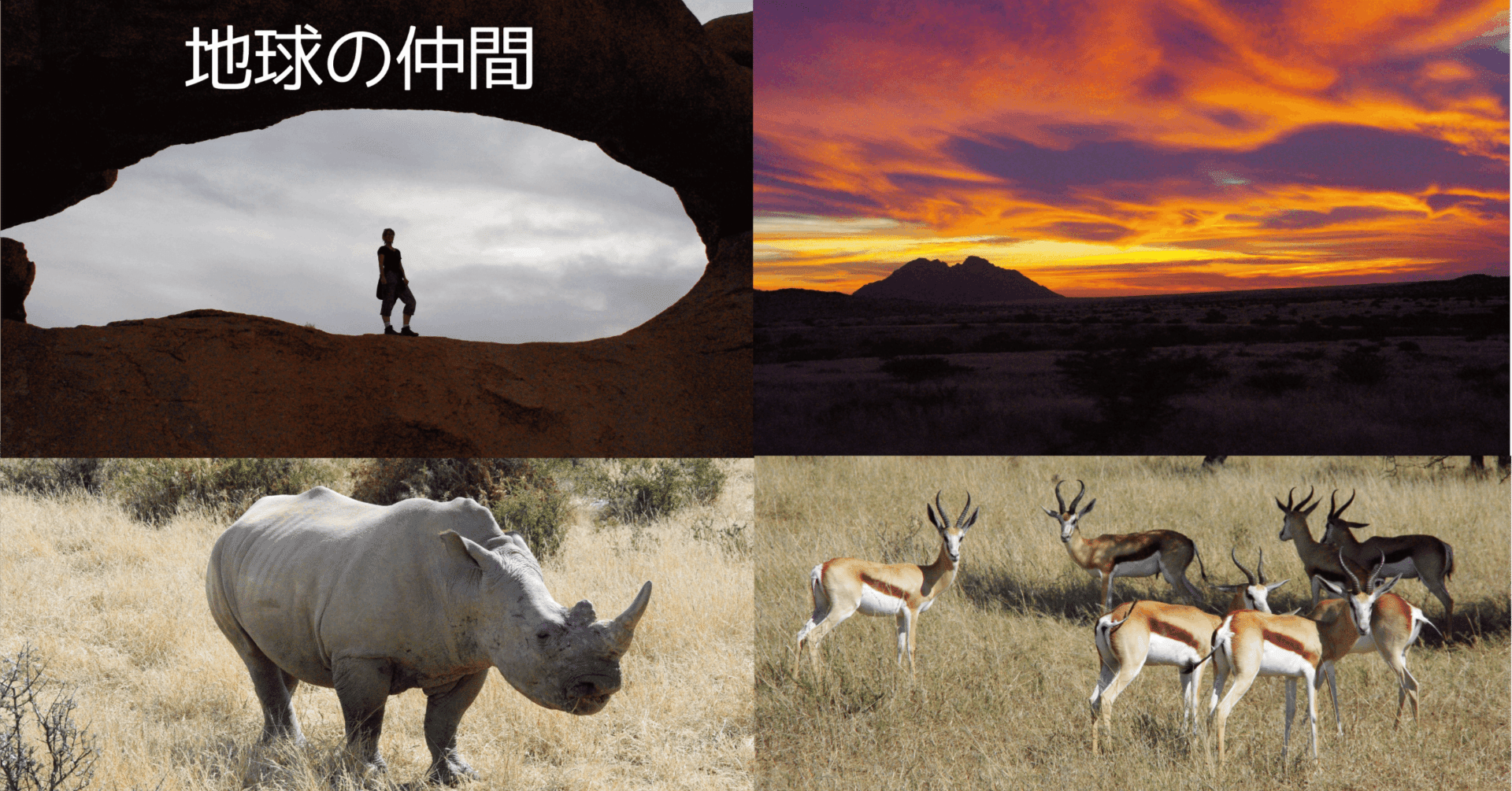 早割 万博 4.1. 太陽と地球と月：大きさと距離｜ワッキー教授 学習用品