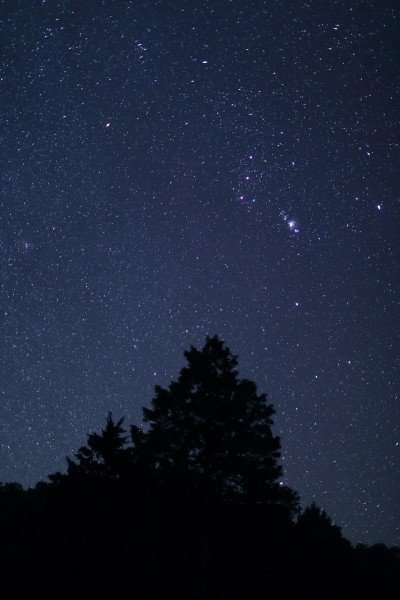 Star  Orion  Nature