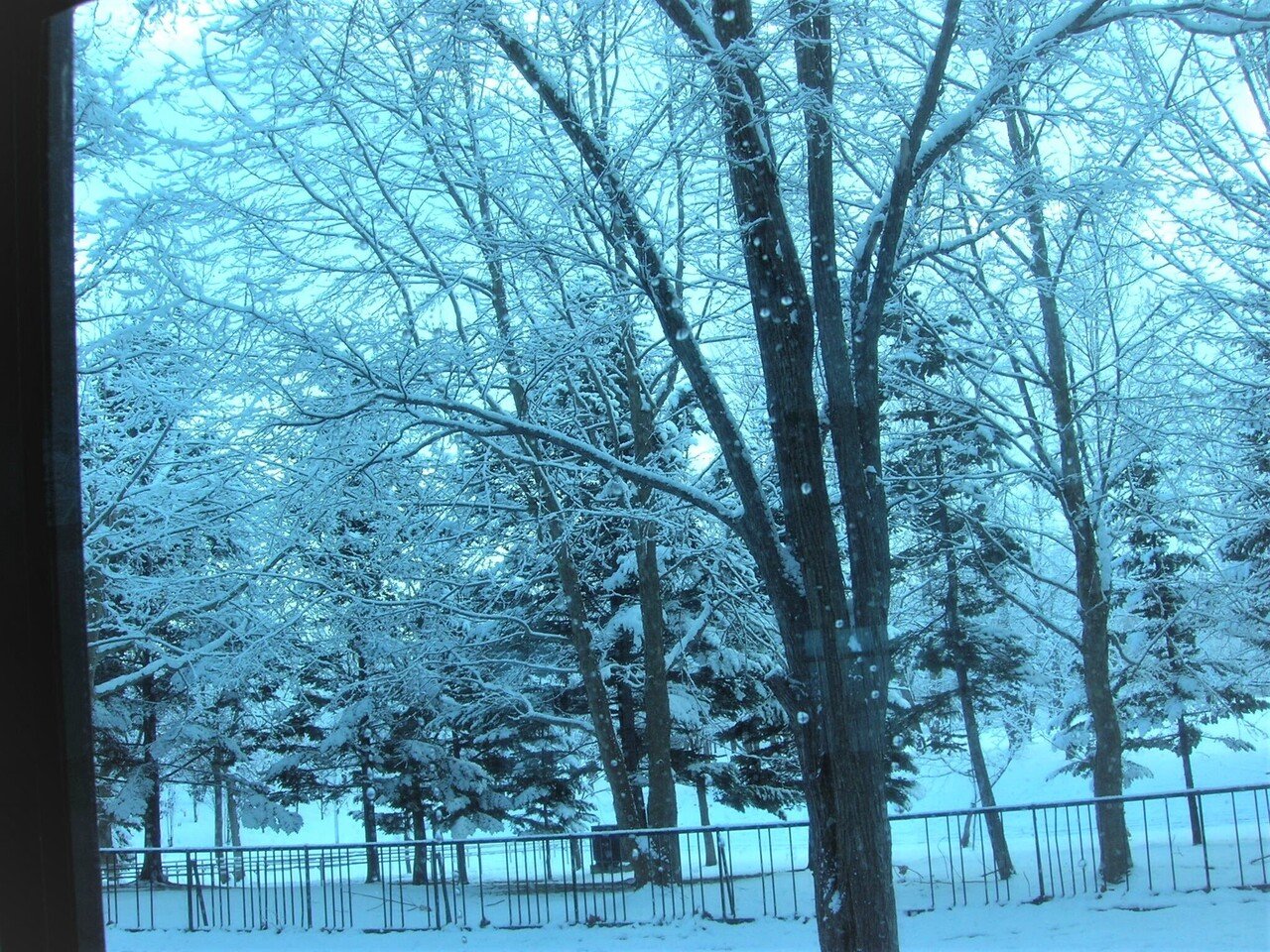 雪のサッポロ