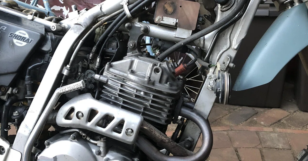 xr250オイルクーラー 【公式通販】