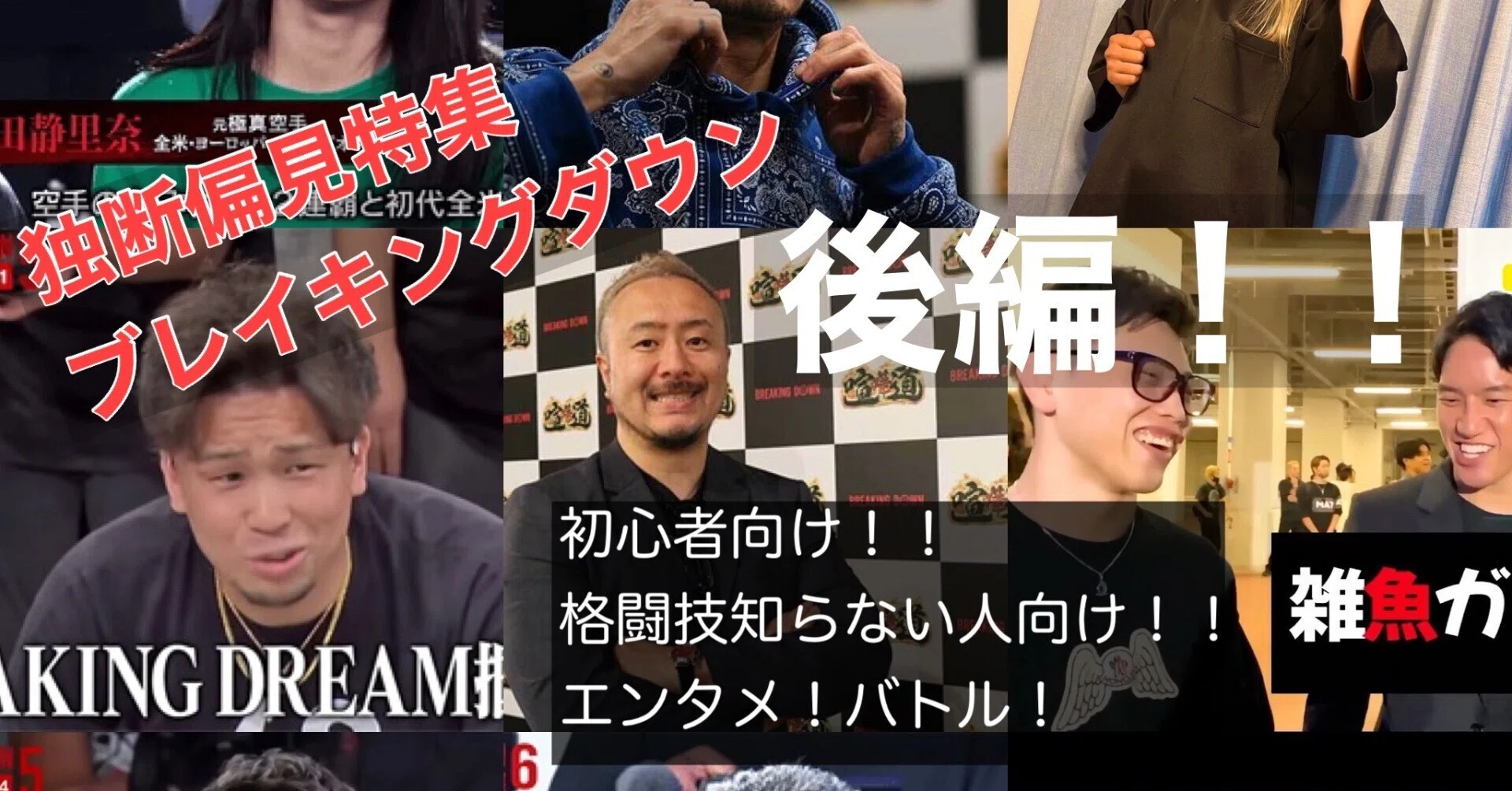 ブレイキングダウン！！これを見れば楽しめるかがわかる！！後編｜暇士 