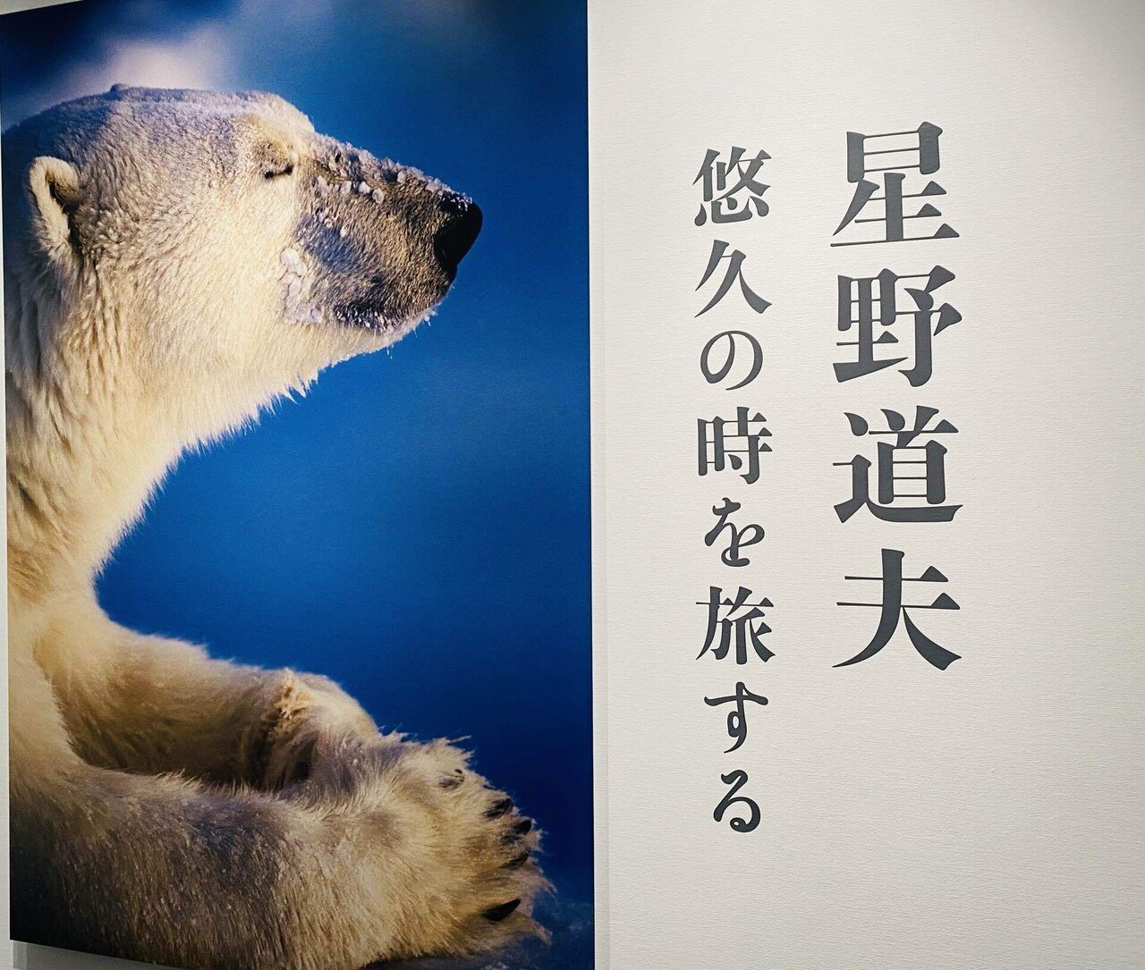 星野道夫写真展 悠久の時を旅する｜miiit