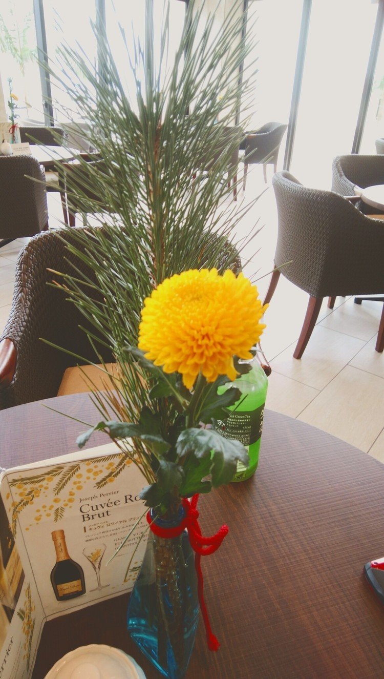 1月初旬に行った為か、正月の華である菊が私達を出迎えてくれました♪

美しく咲く黄色い大輪に思わず見惚れた瞬間でした🌈

後ろにチョコンと立っているのは、私がたまたま持っていたお茶のボトルなのですが、深緑が良い味を出していたのであえて後ろに添えてみました(*^-^*)