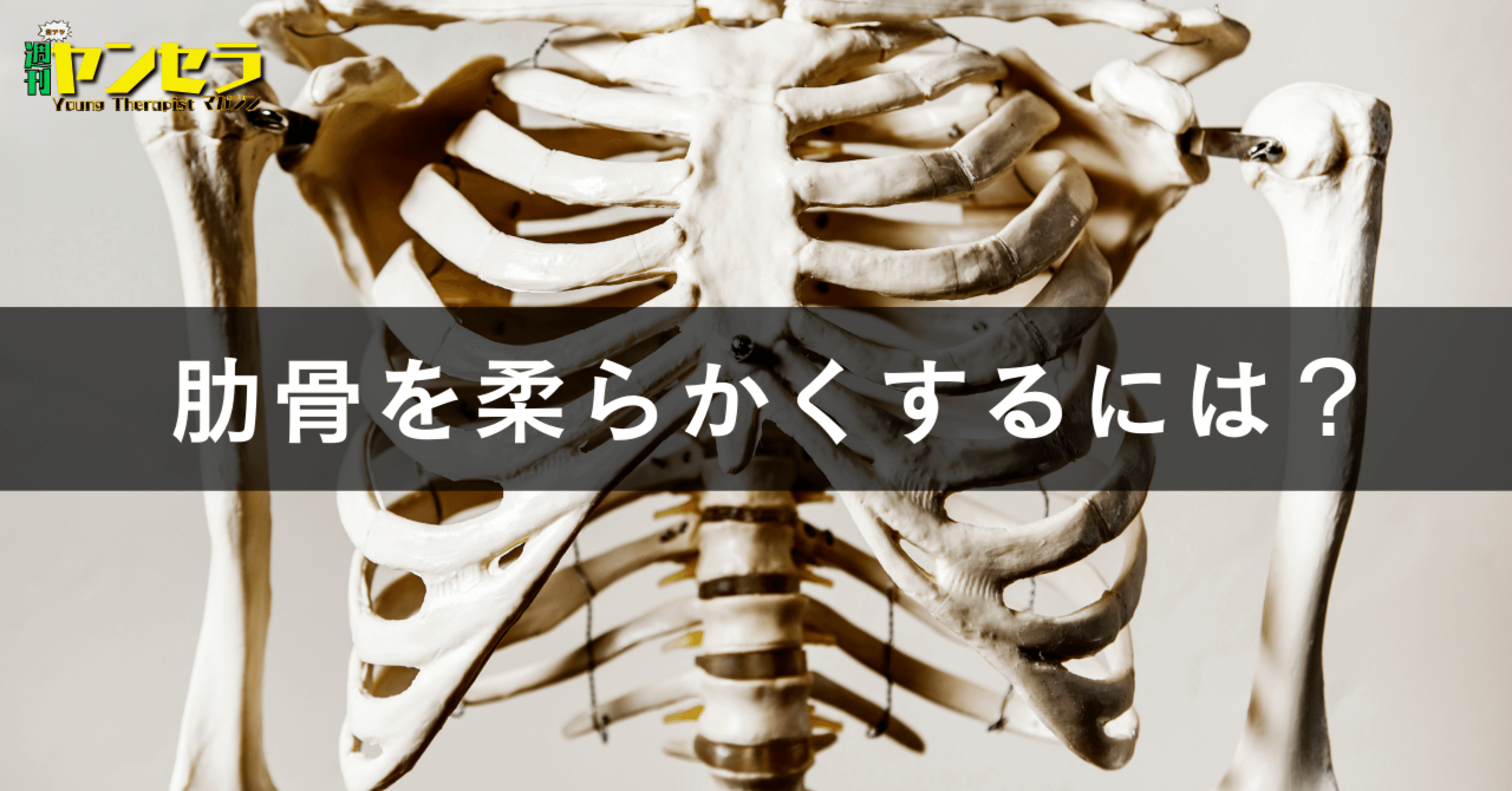 肋骨を柔らかくするには！？｜やまね＠ミュージシャンセラピスト