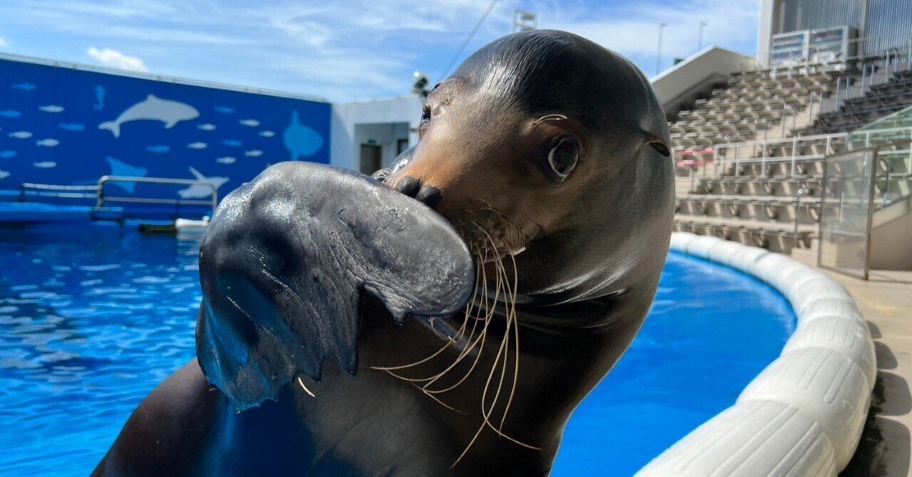 アンディの新特技｜仙台うみの杜水族館
