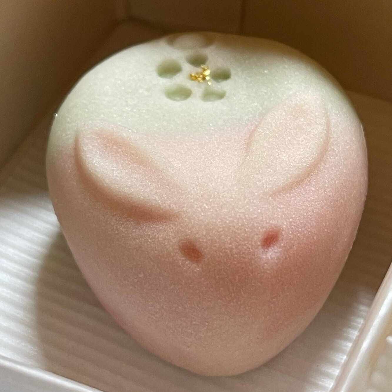 朝霞王ーあさかやすとしー｜note