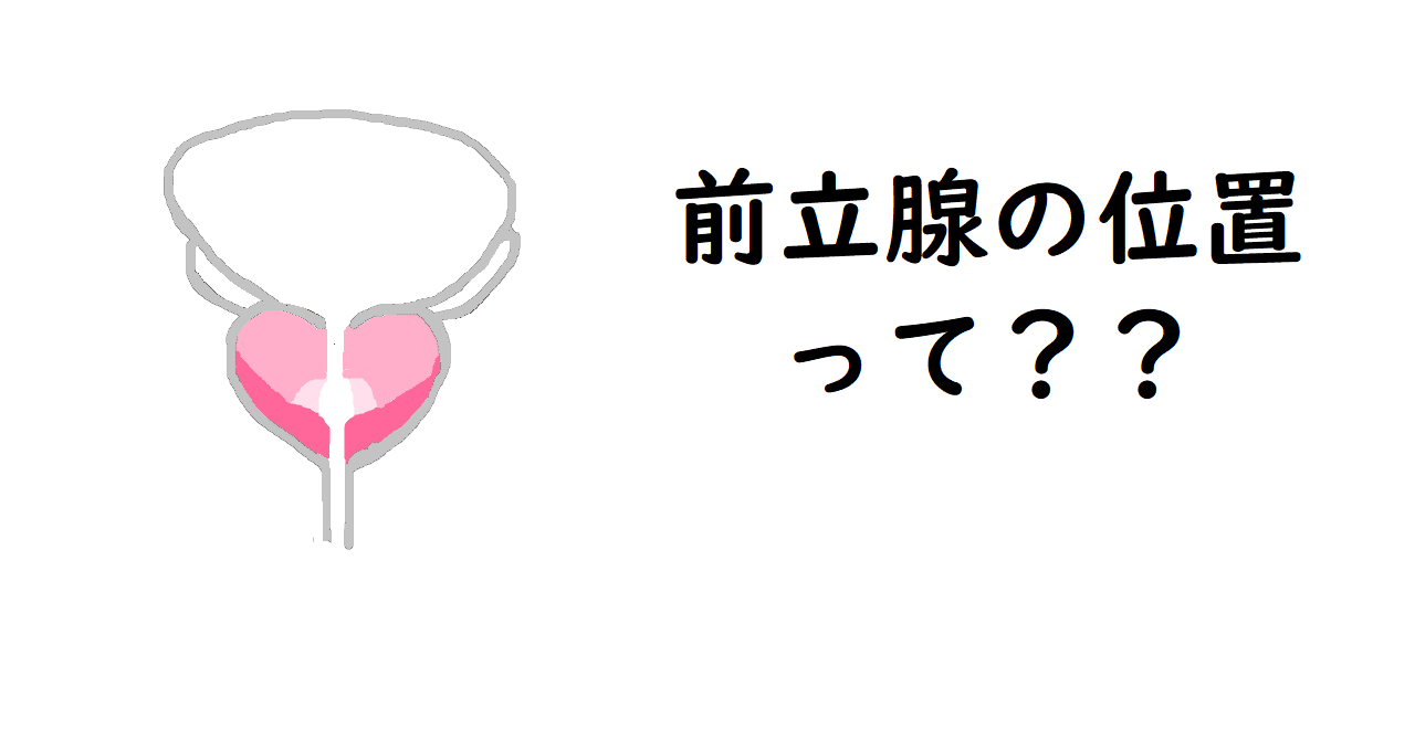前立腺　オナニー 