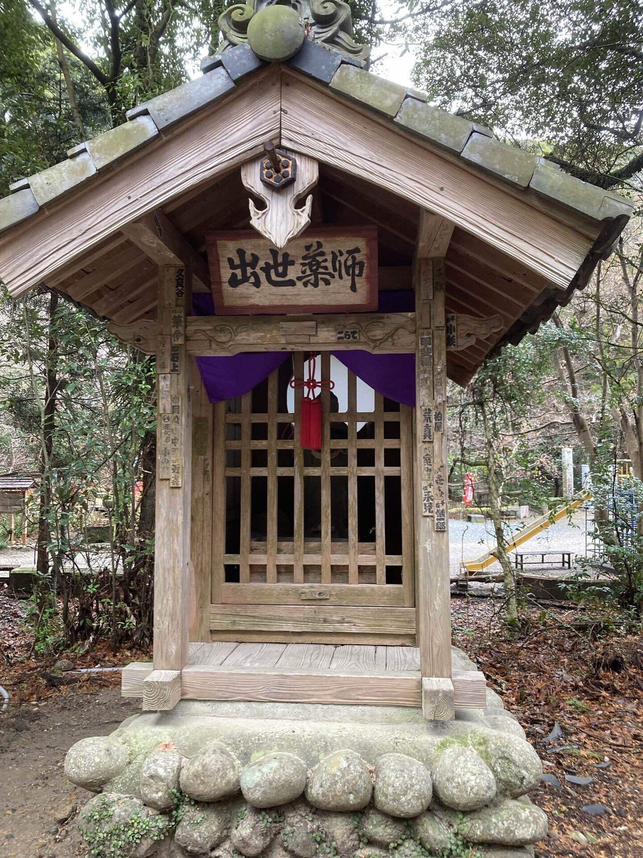 43 福井県産　天然山採り　リョウブ 20201114 「福井県 天筒山（手筒山）、山の神神社