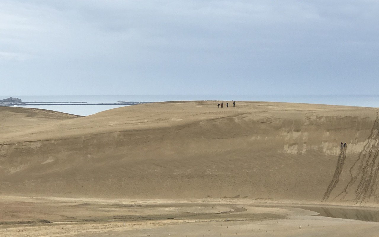 川砂 山砂 海砂 砕砂について Codama Note 川砂 山砂 海砂 砕砂について Codama Note