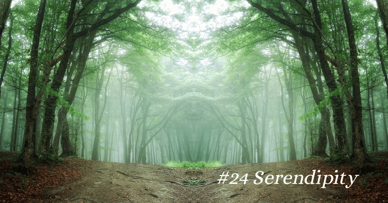 #25 Serendipity