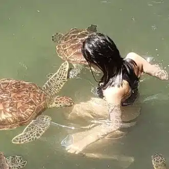 さり柴の遊牧する生活