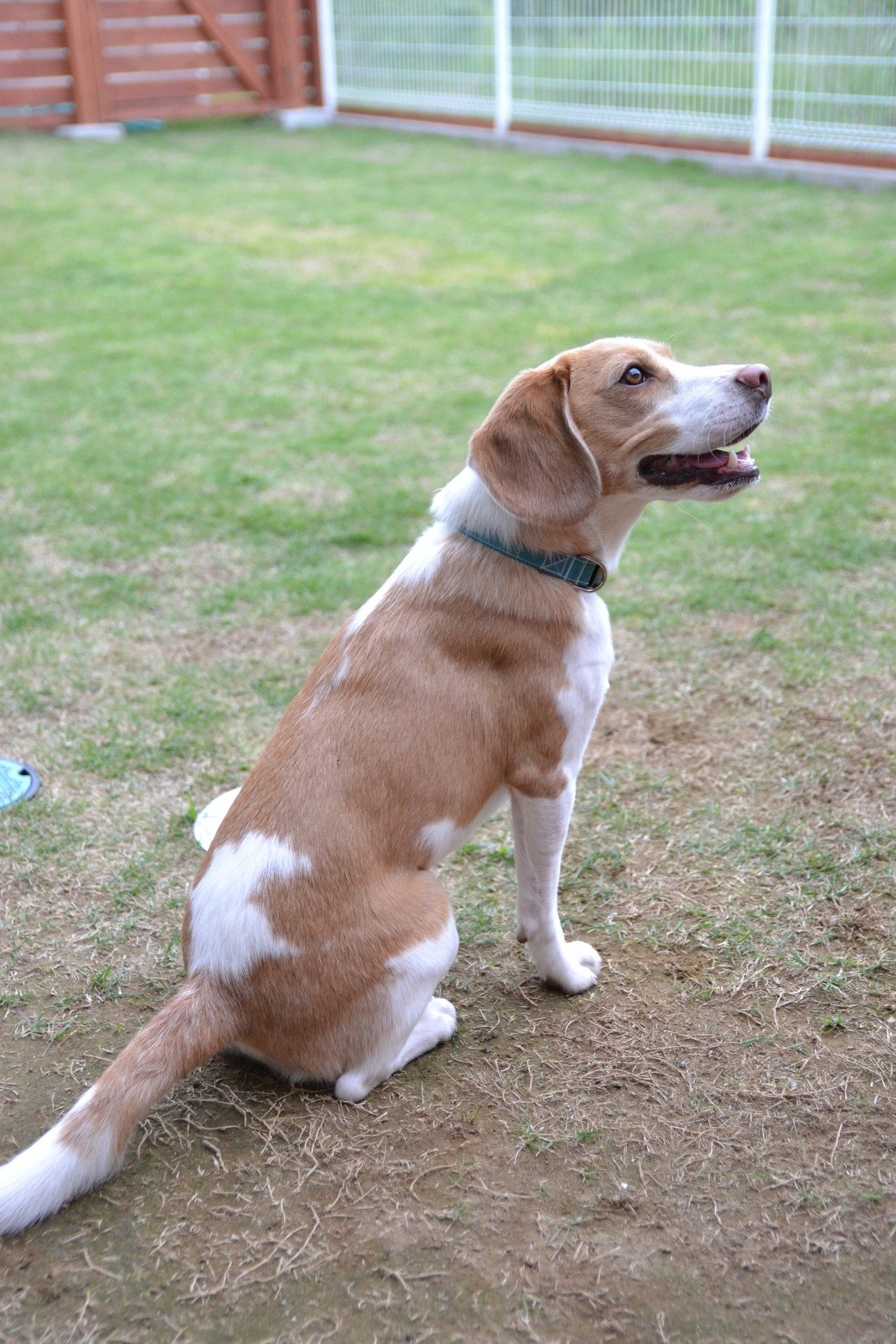 記憶のなかの あのひと 古賀史健 Note 記憶のなかの あのひと 古賀史健 Note