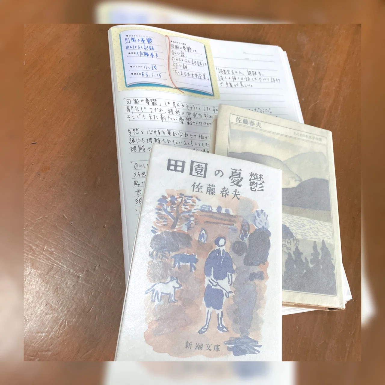 田園の憂鬱、のんしゃらん記録(ちくま日本文学全集)/佐藤春夫｜菜穂ー 