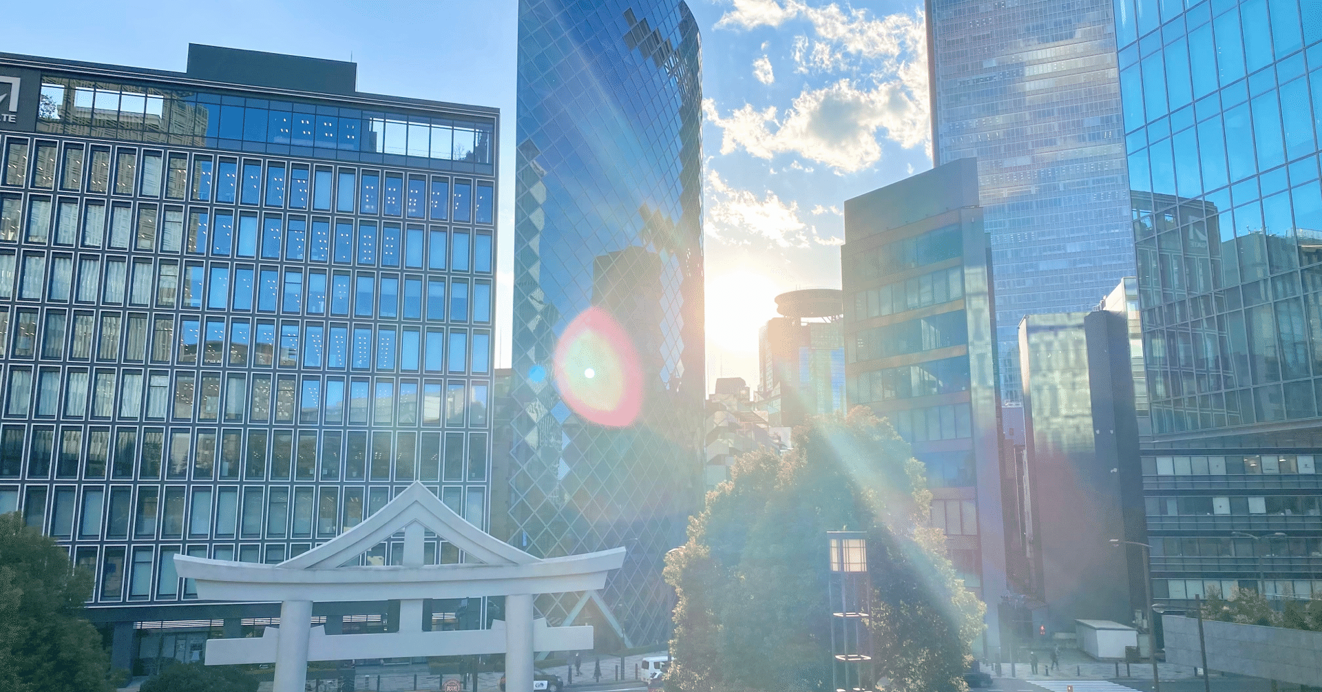 散瞳という副作用について ストラテラ服用日記914日目｜とらとらちっち