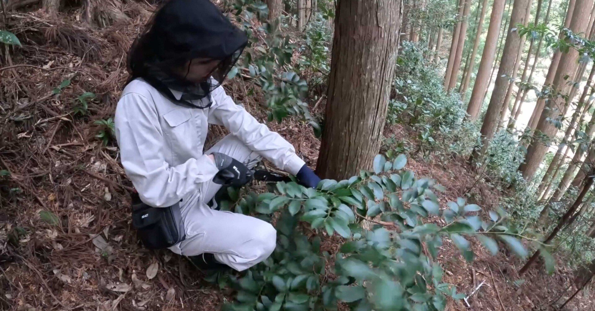 fd574a6ec1c820b4486f2673e1484d