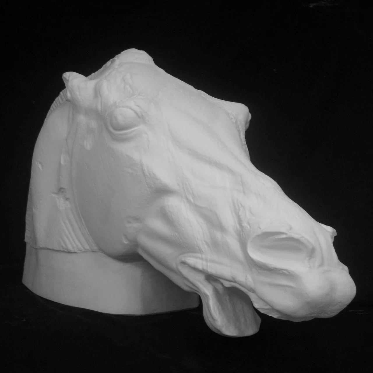 E-715 セレネの馬(Parthenon Selene Horse)｜石膏像ドットコム（脇本）