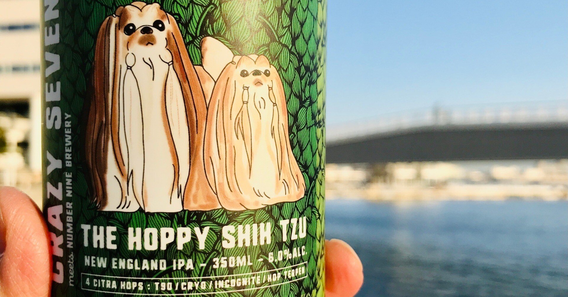 ジャケ買いビールレビュー】ハンマーヘッドでしか買えないホッピーな