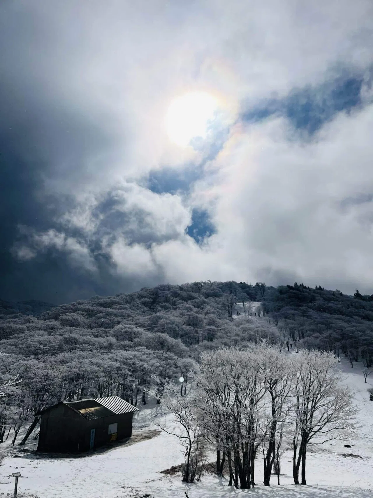ing mountains 雪山 The World of Frost-Covered Trees is Amazing! My Decision to Return