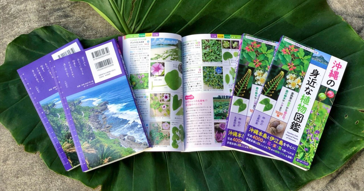 rectangle_large_type_2_8e26c5a rectangle_large_type_2_8e26c5a