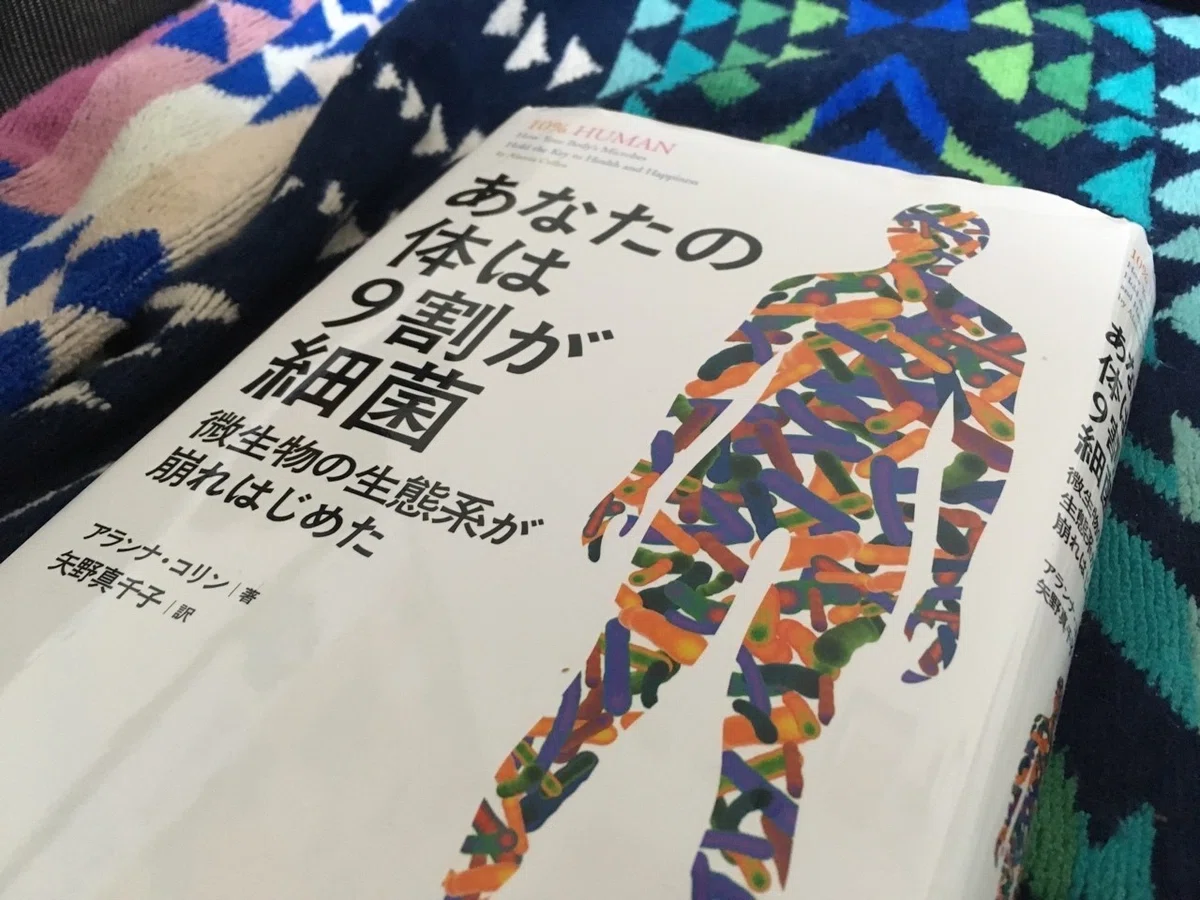画像1