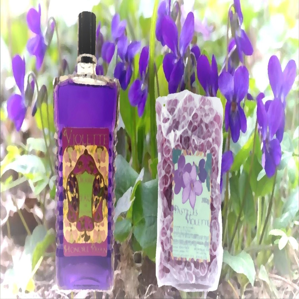 スミレの味と香り 2｜🍬🏴Raine Caca🏴🍬