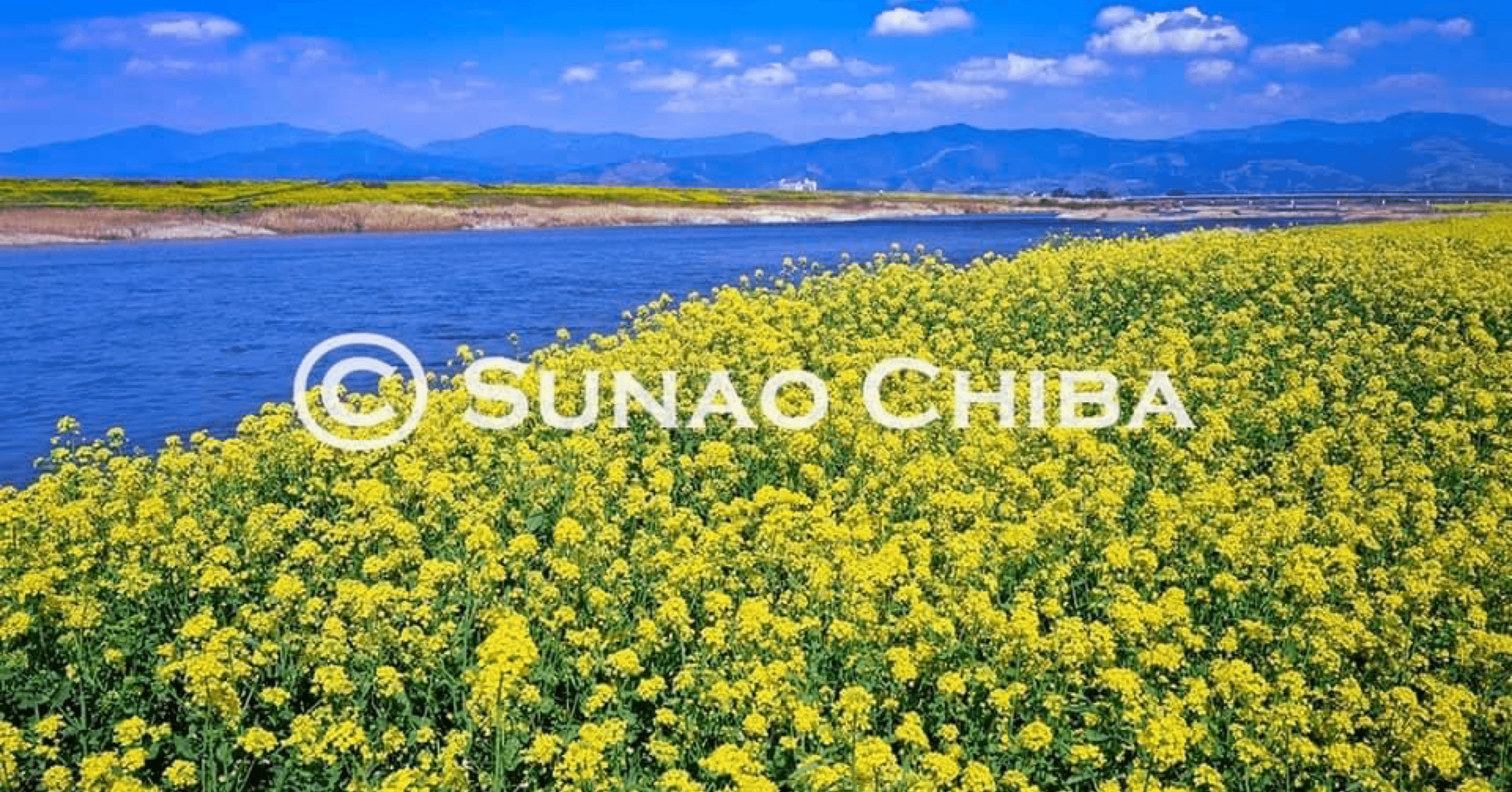 写真家・千葉 直｜note