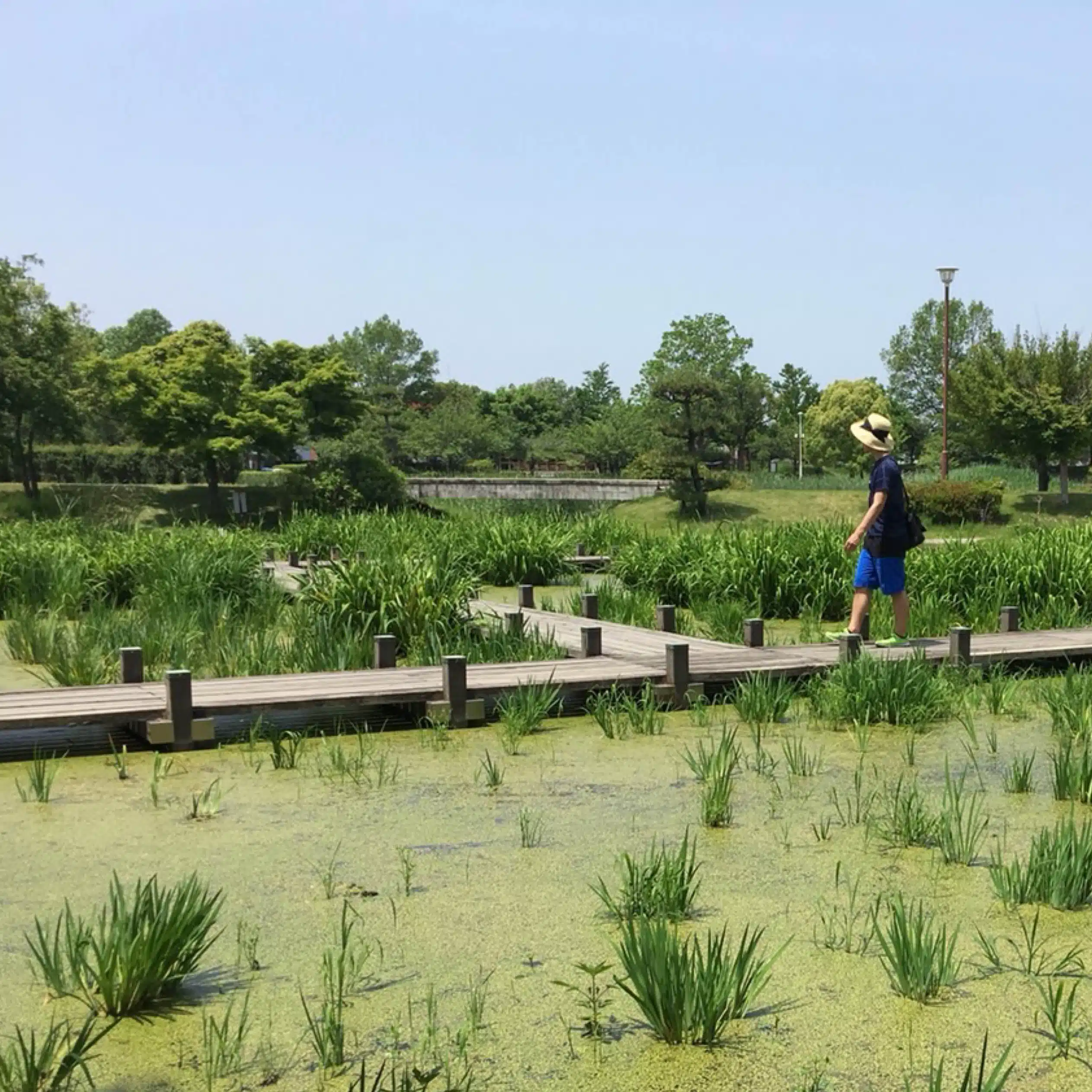 ばゞたけ|20代は「旅人」、30代も「旅人」？
