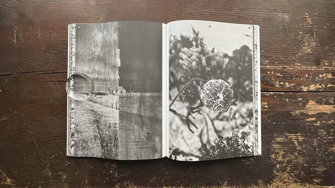 Shinichiro Shiraishi - Samsara ｜IDEABOOKS JAPAN