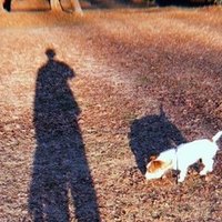 ほら あなたにとって大事な人ほどすぐそばにいるの ゆめちゃ Note