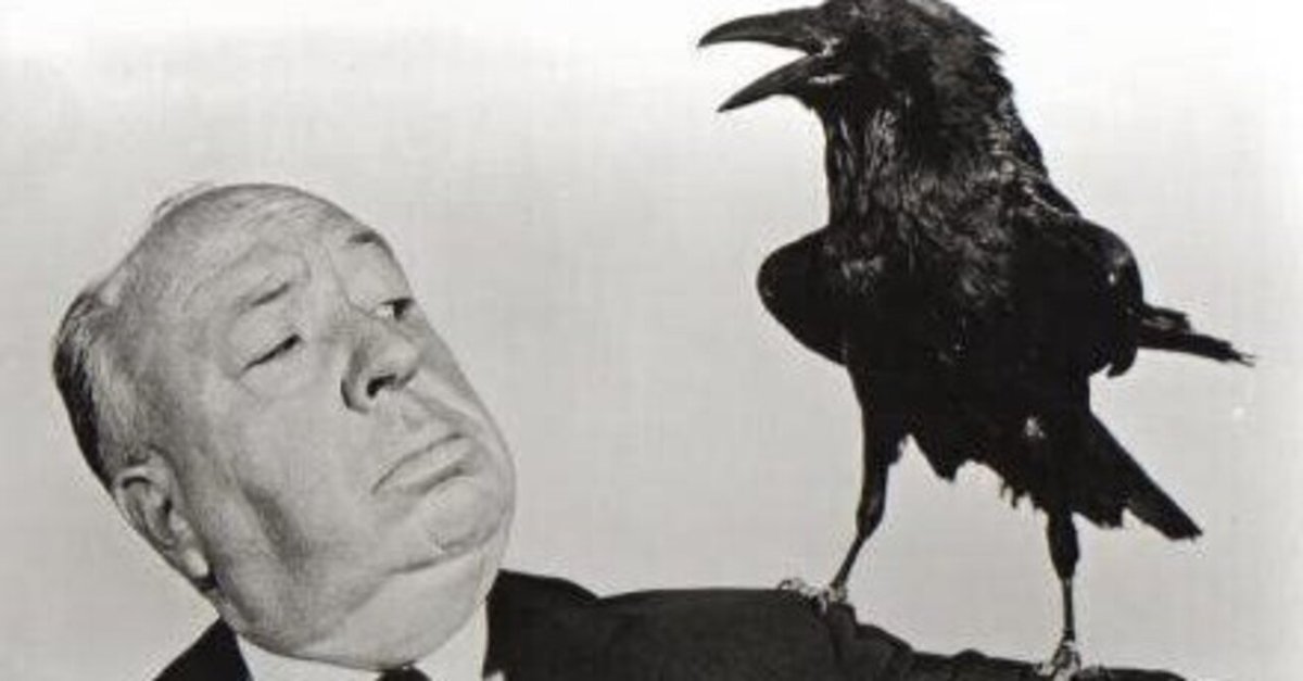 ヒッチ・コックの「鳥」で、なぜ鳥たちは襲ってくるのか｜bitotabi