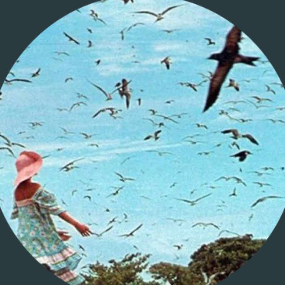 私を構成する9枚④ Sly＆The Family Stone