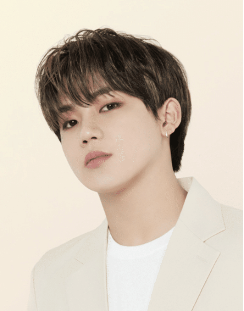 MY TREASURE｜かめたん