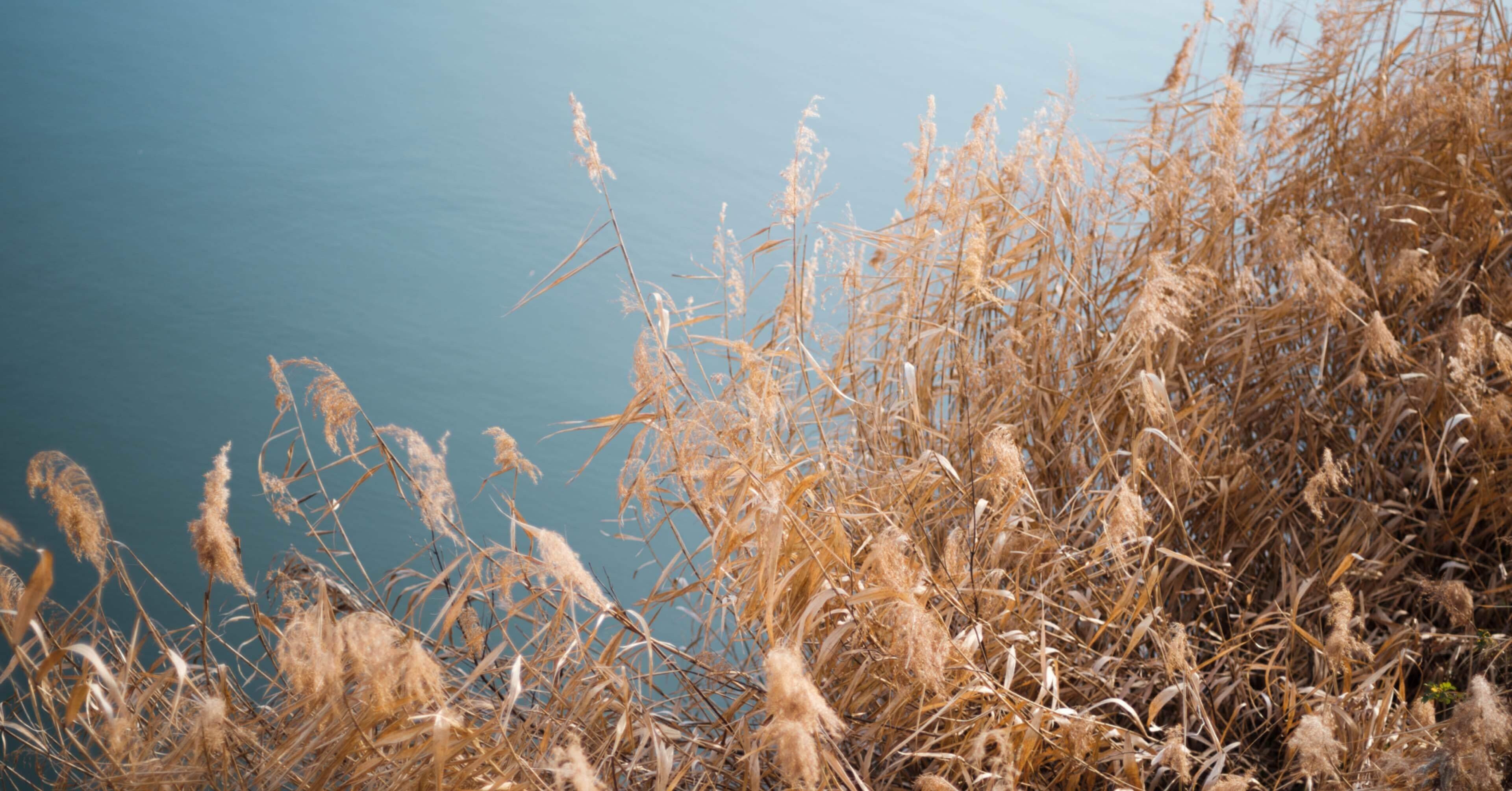 【月曜から値上げ】MAMIYA SEKOR C 80mm f1.9+アダプター 月曜から値上げ】MAMIYA SEKOR C 80mm f1.9+アダプター