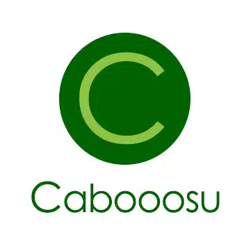 大分のSNSマーケティング・コンサルティング会社 | カボース